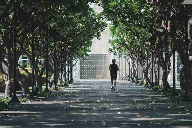 麻豆app:跨年盛典月度盘点进阶宝典